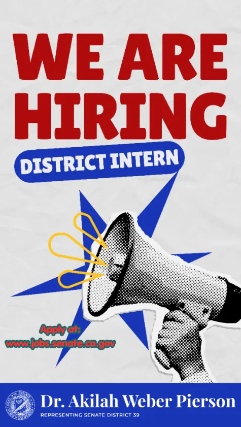 We are Hiring for District Intern Flyer