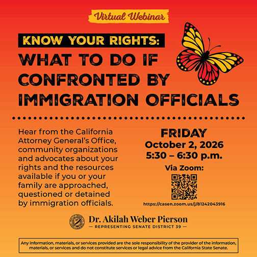 Graphic that details what to do if confronted by immigration officials.