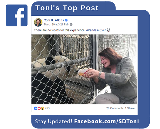 Toni's Top Facebook Post